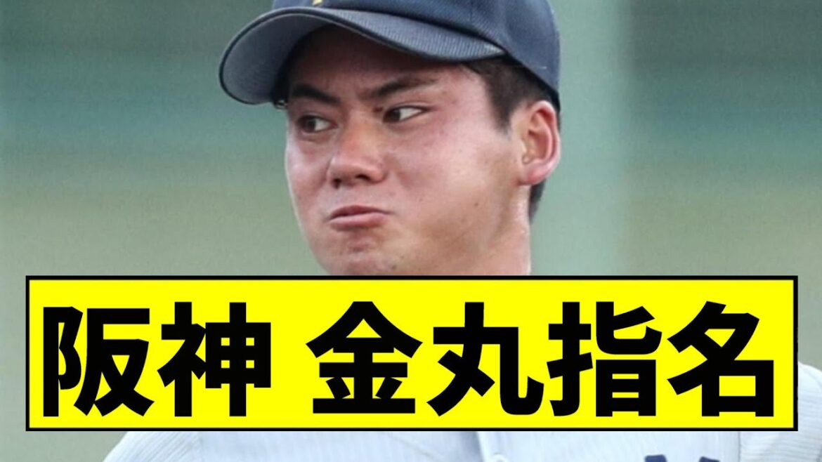 【阪神】金丸を指名ｗｗｗｗｗｗｗｗｗｗｗｗｗｗｗｗｗｗｗｗｗｗ【2chスレ】