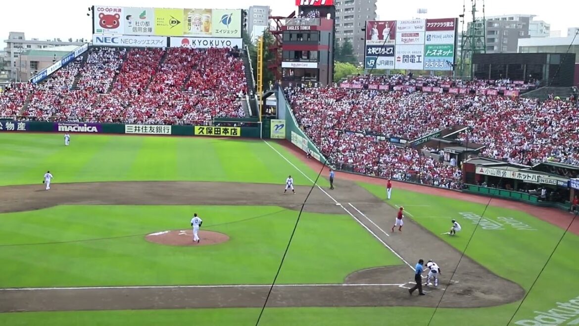 選手応援歌「広島 小園」@楽天モバイルパーク宮城2024.06.15【交流戦】