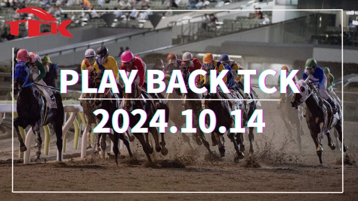 Playback TCK（2024/10/14）