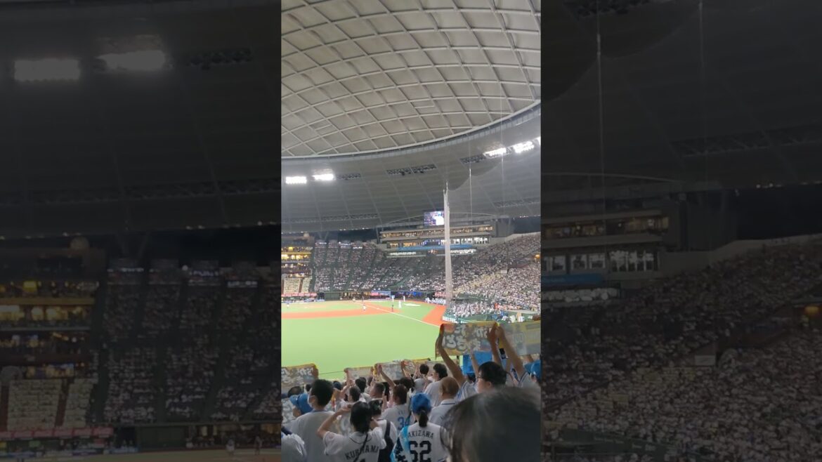 それが1番大事「お！か！だぁ〜！」        #ライオンズ  #岡田雅利  #引退試合