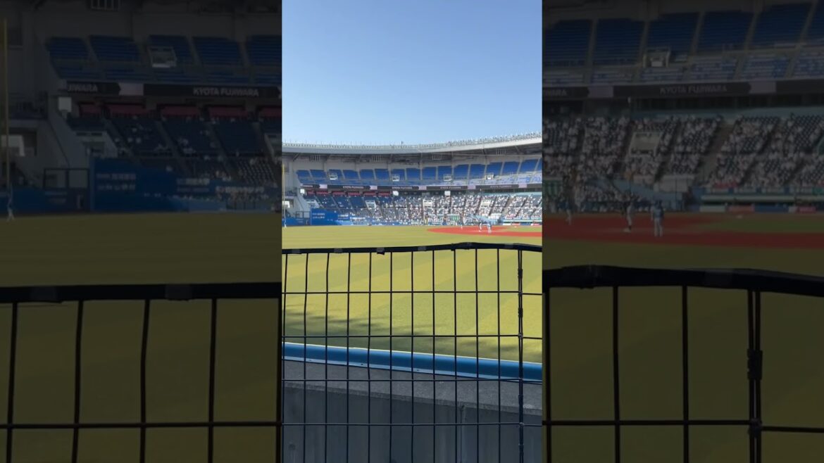 藤原恭大 登場曲 Symphony #藤原恭大 #プロ野球 #千葉ロッテマリーンズ #npb #Symphony