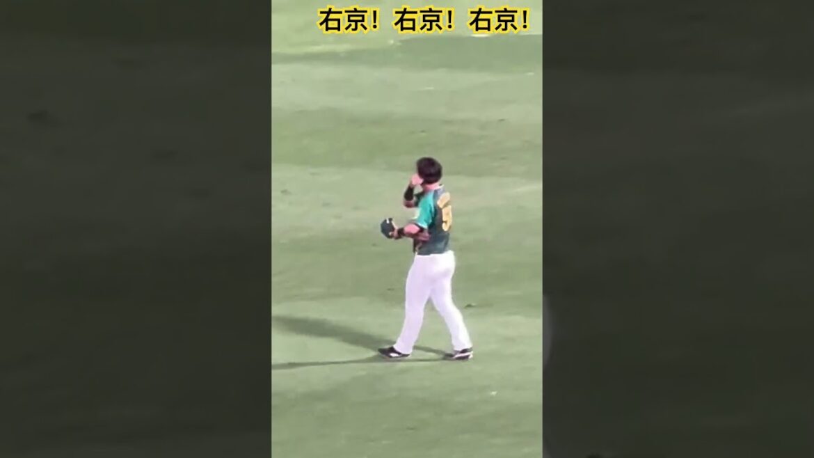 #tigers #前川右京 #shorts #阪神甲子園球場