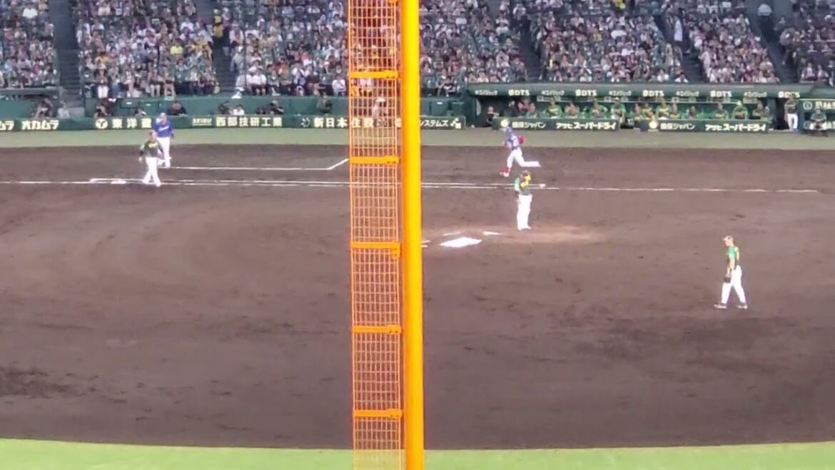 20240728【現地】#龍空 レフト前ヒットで出塁！　3回表　中日ﾄﾞﾗｺﾞﾝｽﾞ　#土田龍空@阪神甲子園球場･ﾚﾌﾄ外野 ｳﾙ虎の夏2024