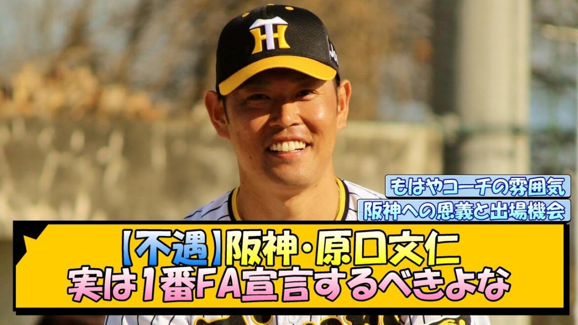 【不遇】阪神・原口文仁 実は1番FA宣言するべきよな【なんJ/2ch/5ch/ネット 反応 まとめ/阪神タイガース/岡田監督】