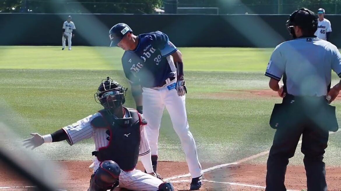 2023.06.17 東京ヤクルト-埼玉西武(戸田球場) 呉念庭 打席シーン