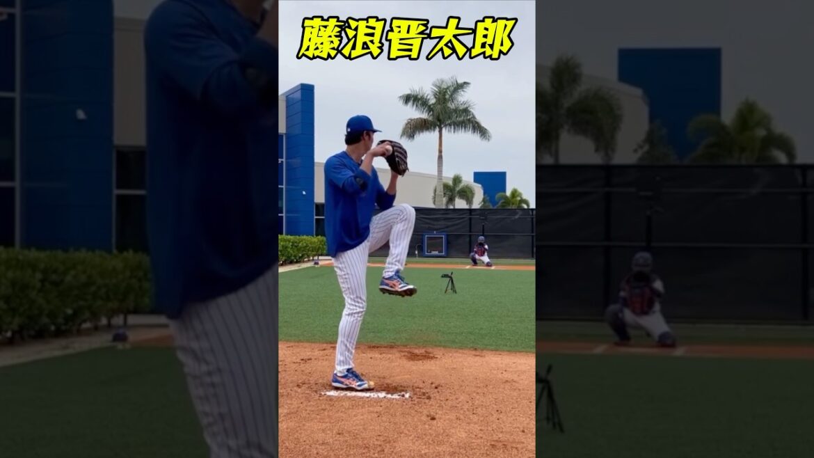 藤浪晋太郎 投球練習シーン #藤浪晋太郎 #プロ野球 #野球