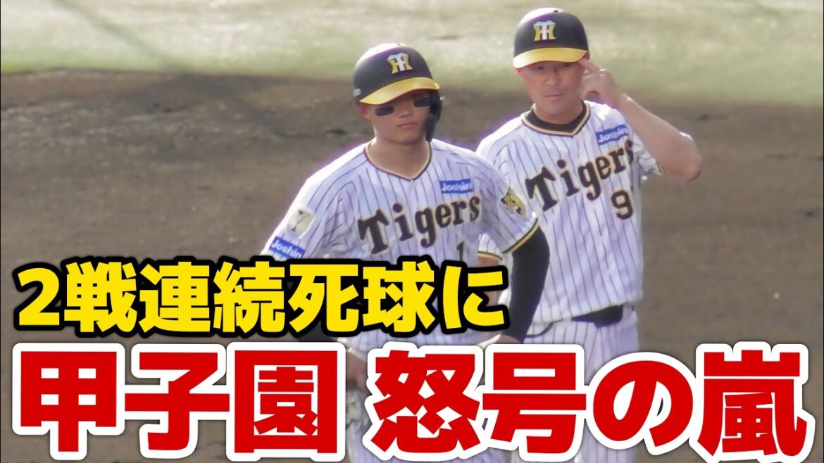 【当てすぎやろ(怒)】森下に2試合連続デッドボールで怒号連発の甲子園 2024.9.14