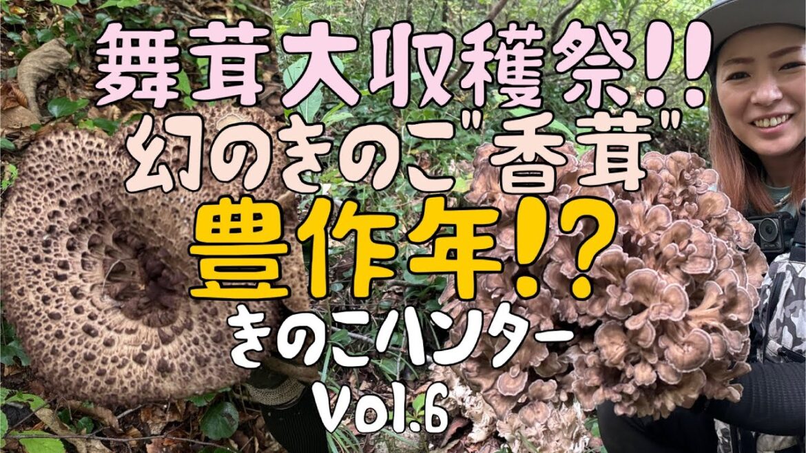 きのこハンターVol.6 舞茸大収穫祭〜香茸もびっしり〜