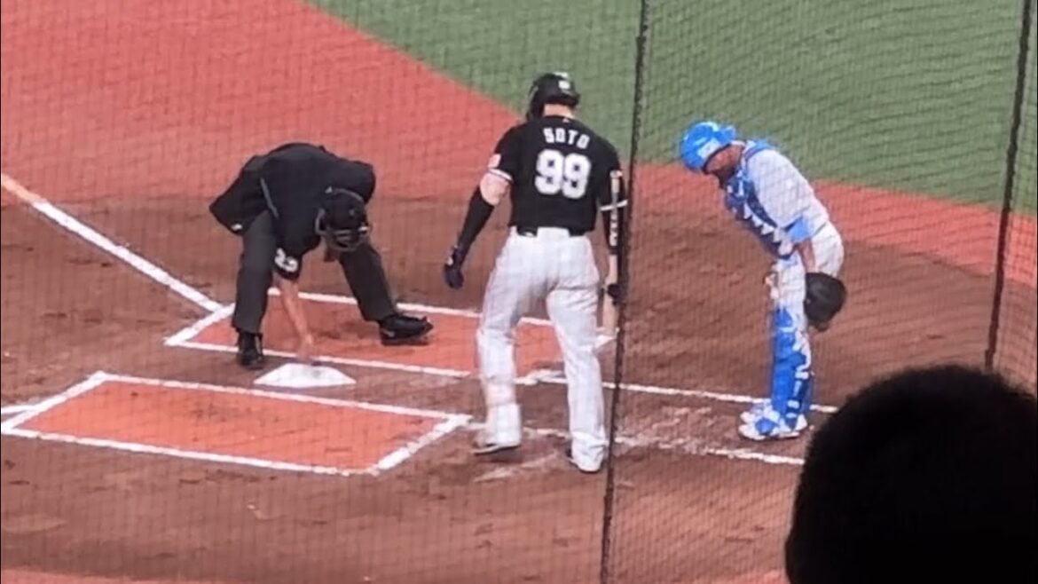 【1回表】これで見納め 岡田雅利「捕手」最後のバッテリーは羽田慎之介と【西武vsロッテ】2024/9/14 岡田雅利引退試合