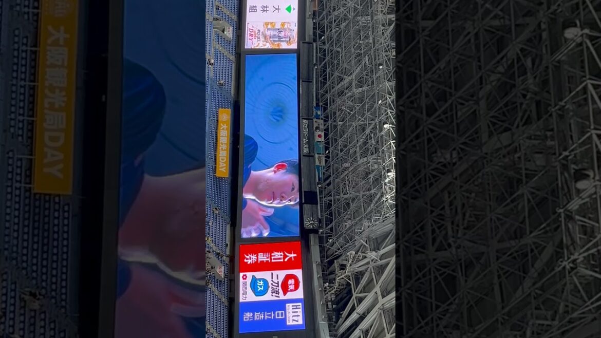 【オリックス】ビジョン映像 齋藤響介投手 古田島成龍投手 才木海翔投手 佐藤一磨投手 曽谷龍平投手 #FRESHBuffaloes