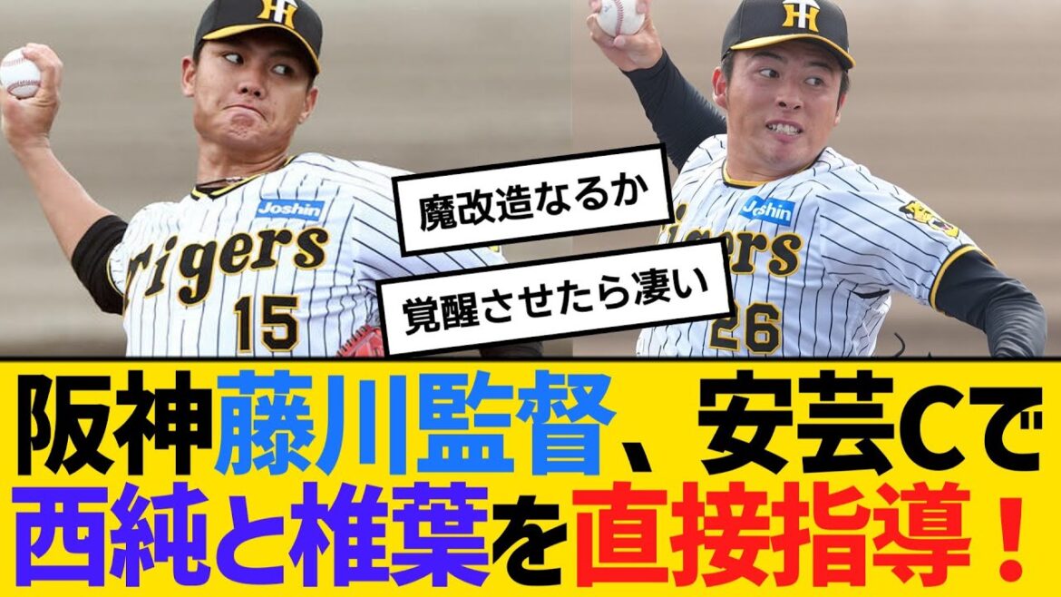 阪神・藤川監督、安芸キャンプで西純矢と椎葉剛を直接指導宣言！　【ネットの反応】【反応集】