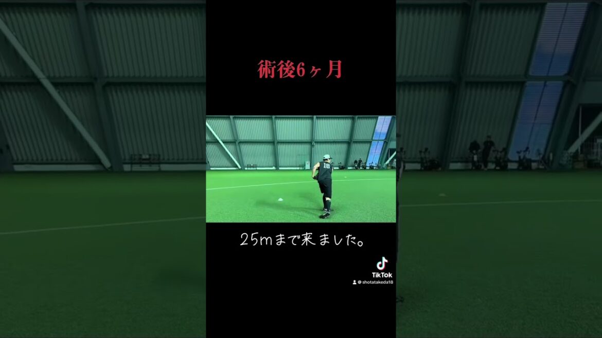 6ヶ月経過。順調です！ #トミージョン手術  #野球  #武田翔太