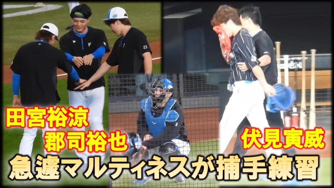 【20241014】捕手村（伏見寅威　田宮裕涼　郡司裕也）伏見怪我で急遽マルティネスが練習参加へ
