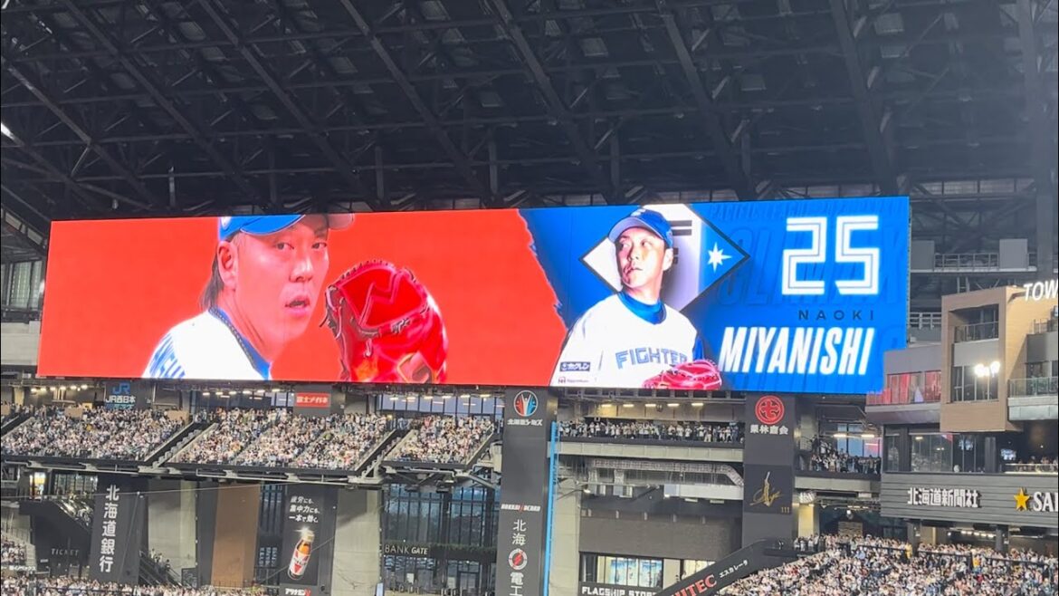 【クローザー宮西】2024 ファイターズ 宮西尚生 登場曲 Sweet Song/Lady Bird, Wei Son