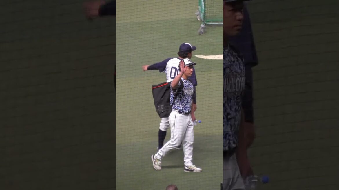 小川 泰弘　囲み取材OKです　#東京ヤクルトスワローズ #shorts