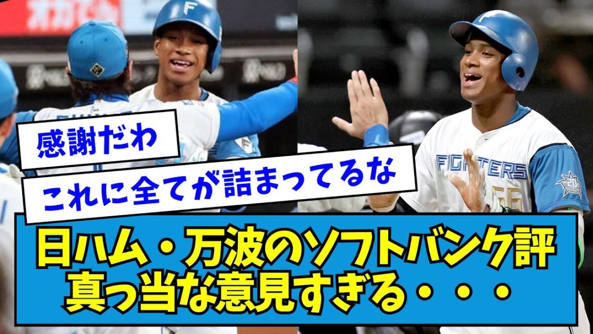 【それな】日ハム・万波のソフトバンク評、真っ当な意見すぎる・・・【なんJ反応】 【それな】日ハム・万波のソフトバンク評、真っ当な意見すぎる・・・【なんJ反応】