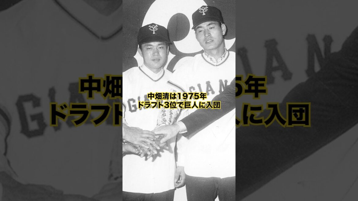 【読売巨人軍】「中畑清」の活躍…