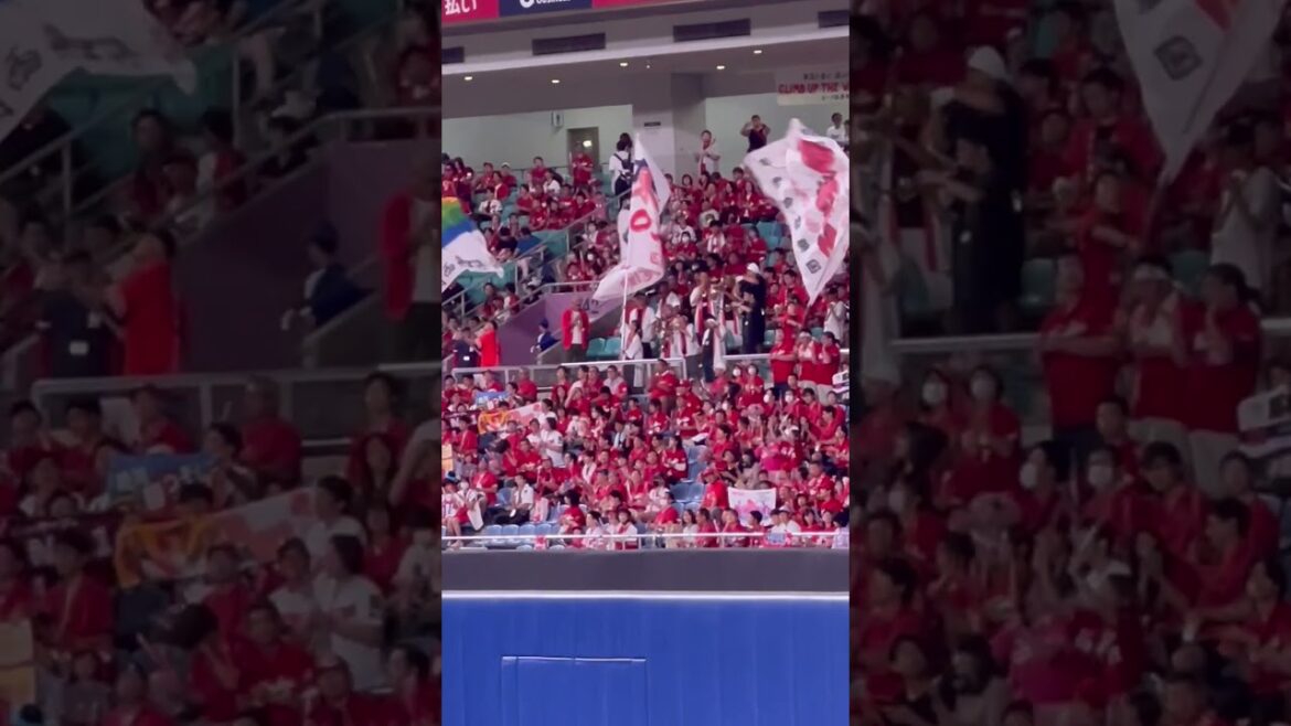 ナゴド広島💫スタメン応援歌6〜9番💫末包、韮澤、林、森🔥ナゴヤドーム ライトドラゴンズ応援 2024.9.23広島戦 1-0勝ち  🔥#立浪  #中日 #広島