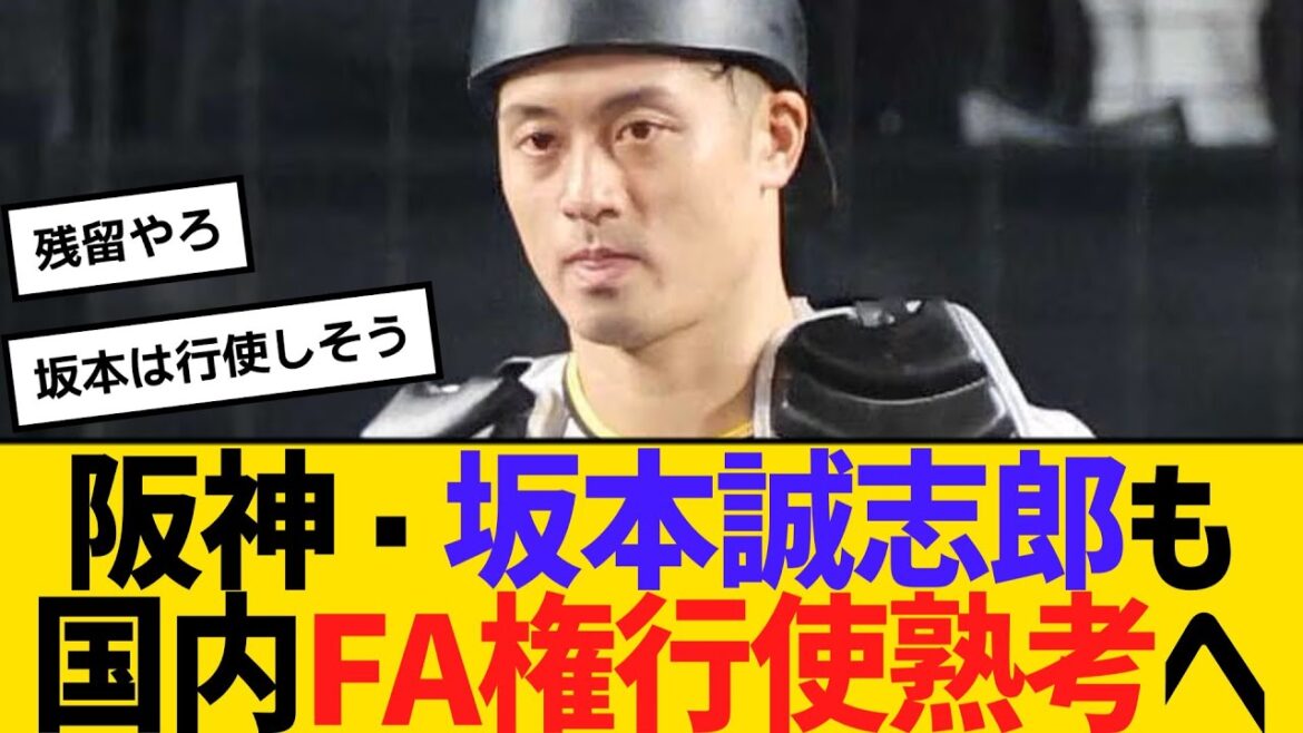 阪神・坂本誠志郎も国内FA権行使熟考へ　【ネットの反応】【反応集】