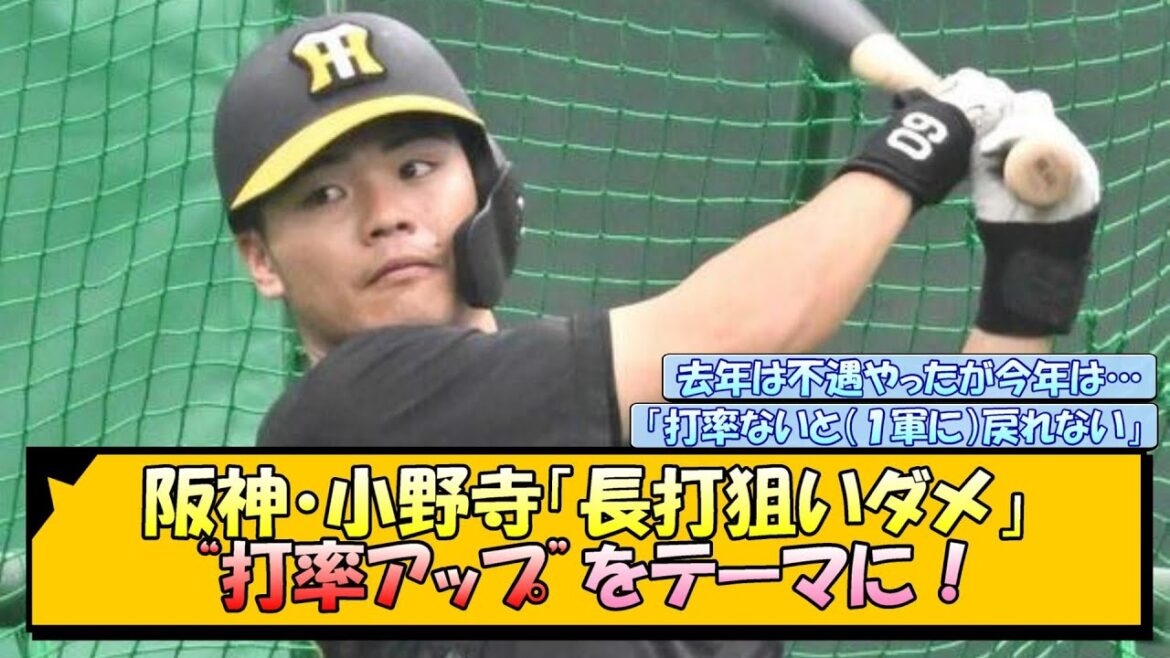 阪神・小野寺「長打狙いダメ」“打率アップ”をテーマに！【なんJ/2ch/5ch/ネット 反応 まとめ/阪神タイガース/岡田監督/小野寺暖】
