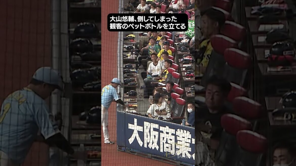 大山悠輔の人間性が感じられる行動　#shorts_YouTube #阪神タイガーズ  #虎バン #大山悠輔