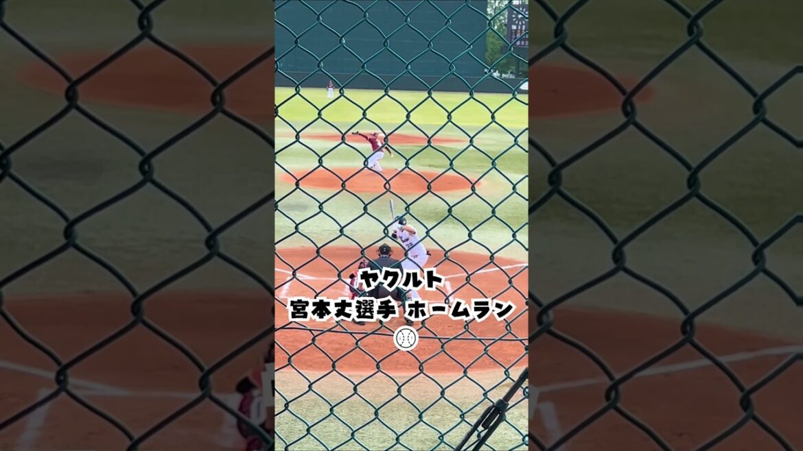 ヤクルト 宮本丈 選手のホームラン⚾🌠#shorts #野球 #swallows #ホームラン #戸田球場 #バッティング #宮本丈