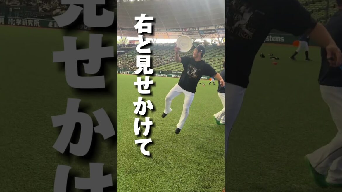 【フリスビー投げも映像映え！？】外崎修汰選手はフリスビーもうまい！