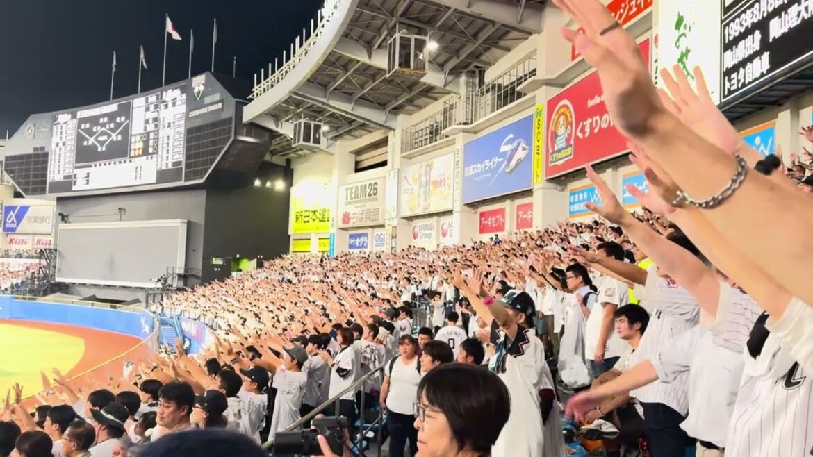 藤岡裕大応援歌 2024/9/26ロッテ vs バファローズ #chibalotte 藤岡裕大応援歌 2024/9/26ロッテ vs バファローズ #chibalotte