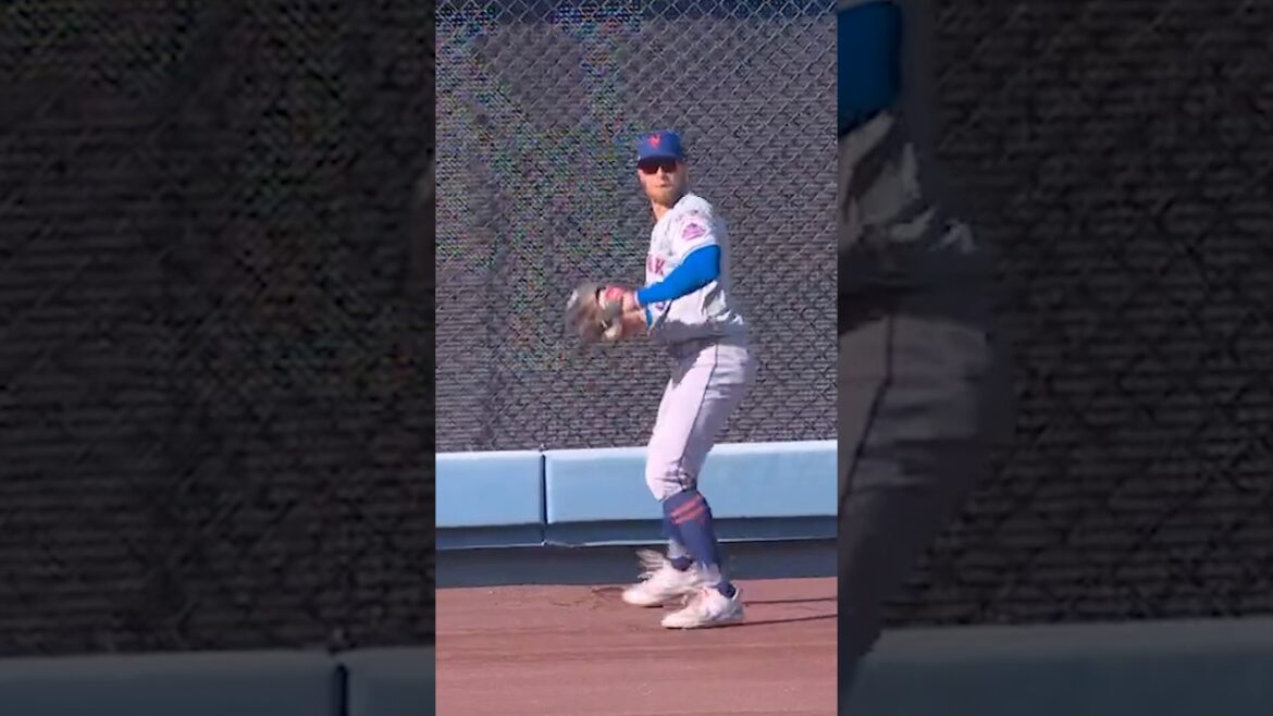 Leaping catch by Brandon Nimmo 🙌