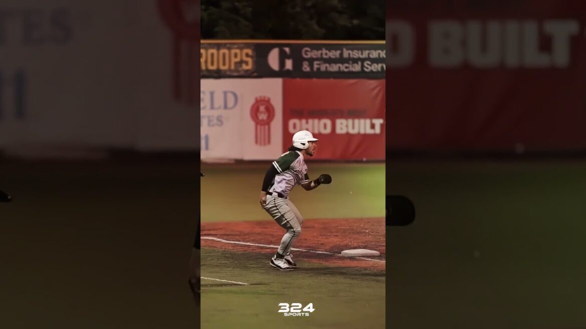 EPIC Distraction!!?!  #324sports #baseball #highlights
