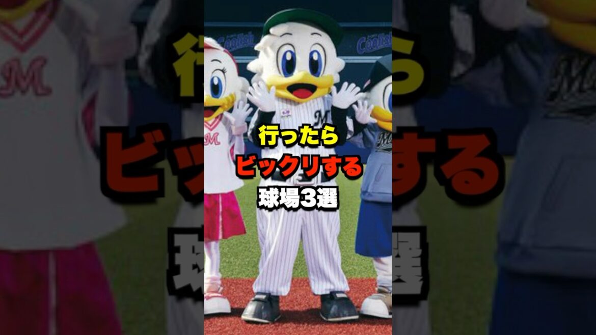 行ったらビックリする球場3選 #野球 #プロ野球