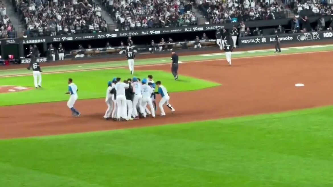 万波中正の同点ホームラン淺間大基サヨナラタイムリーヒット現地映像　#lovefighters  北海道日本ハムファイターズ　日ハム　クライマックスシリーズ