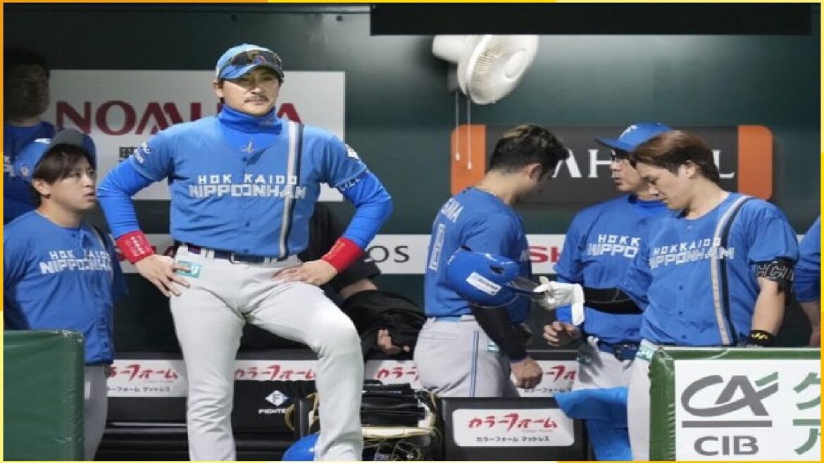 ⚾日本ハム、3連敗で躍進のシーズンに幕…谷繁氏「勢いそのままにいくかなと思ってましたけど、初戦やられてしまったのでね…」🧢 JAPAN ⚾日本ハム、3連敗で躍進のシーズンに幕…谷繁氏「勢いそのままにいくかなと思ってましたけど、初戦やられてしまったのでね…」🧢 JAPAN
