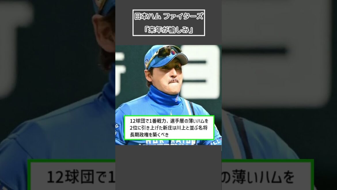 【日本ハム ファイターズ】「来年が愉しみ」＜プロ野球 2ch 5ch なんJ＞#Shorts