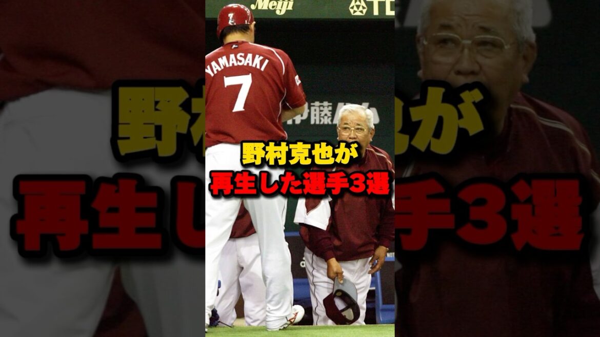 野村克也が再生した選手3選#野村克也 #高津臣吾
