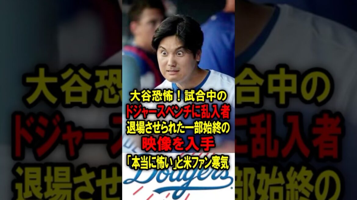 真美子夫人も大谷も恐怖！試合中のドジャースベンチに“乱入者”　退場させられた一部始終が「本当に怖い」と米ファン寒気 #大谷翔平 #デコピン #真美子