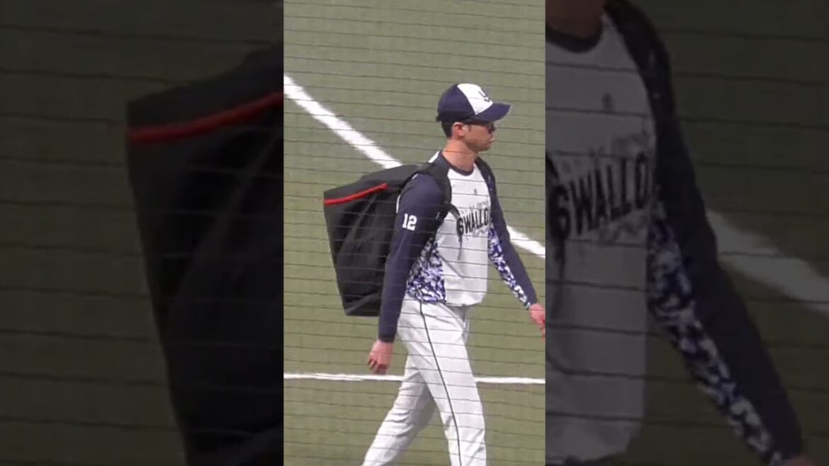 誰？　石山だよ！　#東京ヤクルトスワローズ #石山泰稚 #shorts