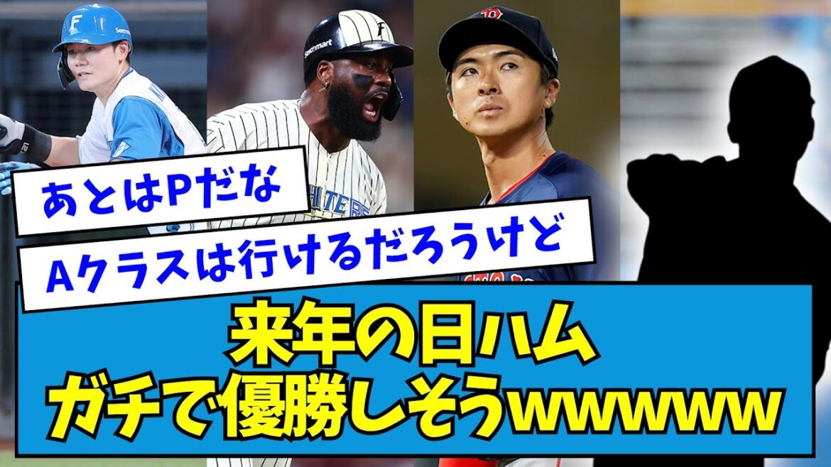 【朗報】来年の日ハム、ガチで優勝しそうwwwww【なんJ反応】 【朗報】来年の日ハム、ガチで優勝しそうwwwww【なんJ反応】