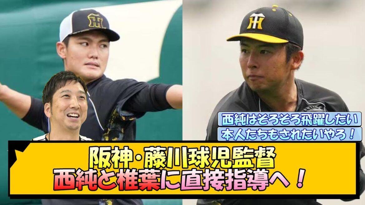 阪神・藤川球児監督 西純と椎葉に直接指導へ！【なんJ/2ch/5ch/ネット 反応 まとめ/阪神タイガース/岡田監督】