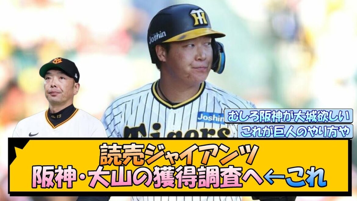 読売ジャイアンツ 阪神・大山悠輔の獲得調査へ←これ【なんJ/2ch/5ch/ネット 反応 まとめ/阪神タイガース/岡田監督/阿部監督/藤川監督/巨人】