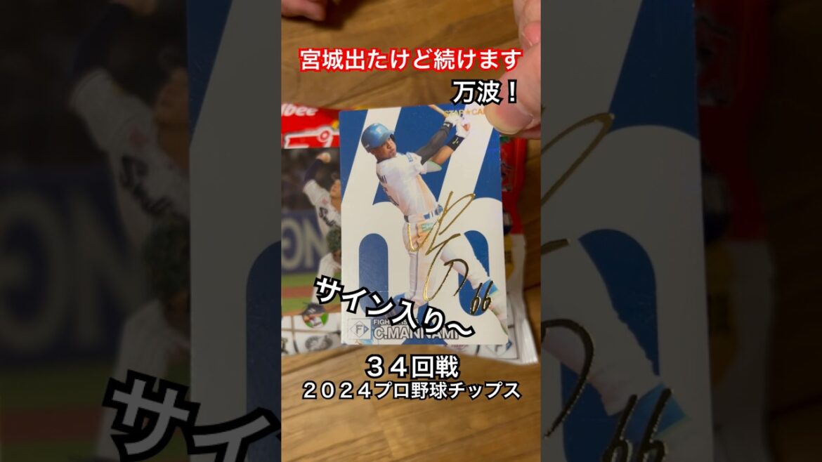 【2024プロ野球チップス第1弾】サイン箔押しスターカード万波中正・小川泰弘｜北海道日本ハムファイターズ・ヤクルトスワローズ｜宮城大弥出たけど続けます #shorts