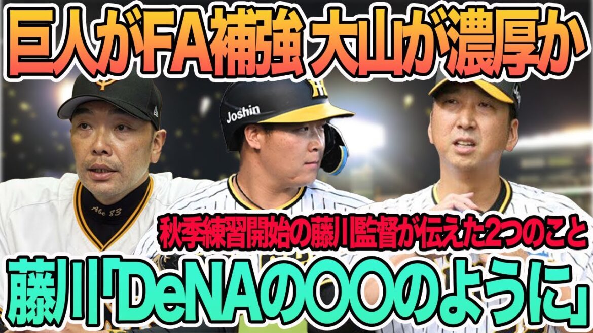 【巨人がFA補強へ阪神大山が濃厚か】秋季練習スタート　藤川「DeNAの〇〇になれ」　阪神タイガース