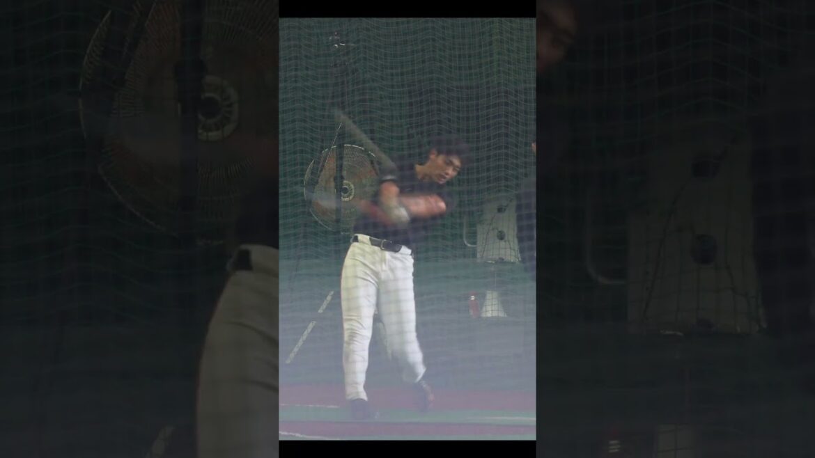 【巨人】三塚琉生選手の惚れ惚れするフルスイング　#shorts #baseball #sports #ジャイアンツ #巨人 #プロ野球