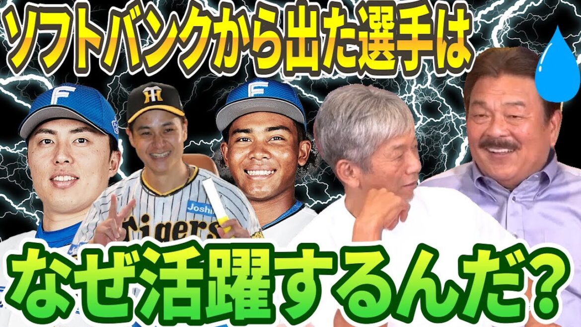 ⑤【禁断の質問】藤本前監督の時に在籍した田中正義、水谷瞬、大竹耕太郎はなぜ大活躍したのか？ずばり理由を教えて【藤本博史】【高橋慶彦】【広島東洋カープ】【プロ野OB】【福岡ソフトバンクホークス】