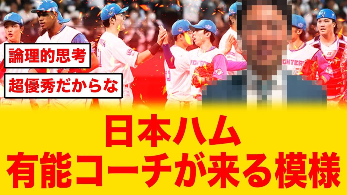 【来季優勝へ】日本ハムの新たな２軍コーチどうやら有能っぽい