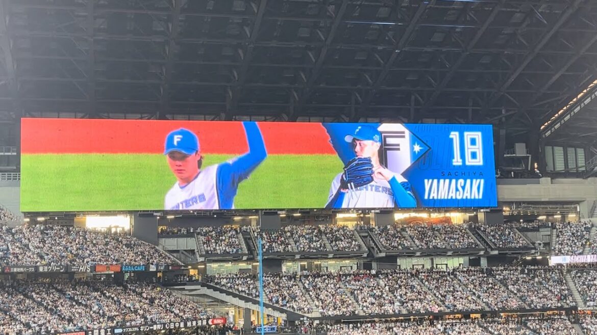 【サチあれ！】2024 ファイターズ 山﨑福也 登場曲 サチあれ/Big fumiクライマックスシリーズ1stステージ第２戦