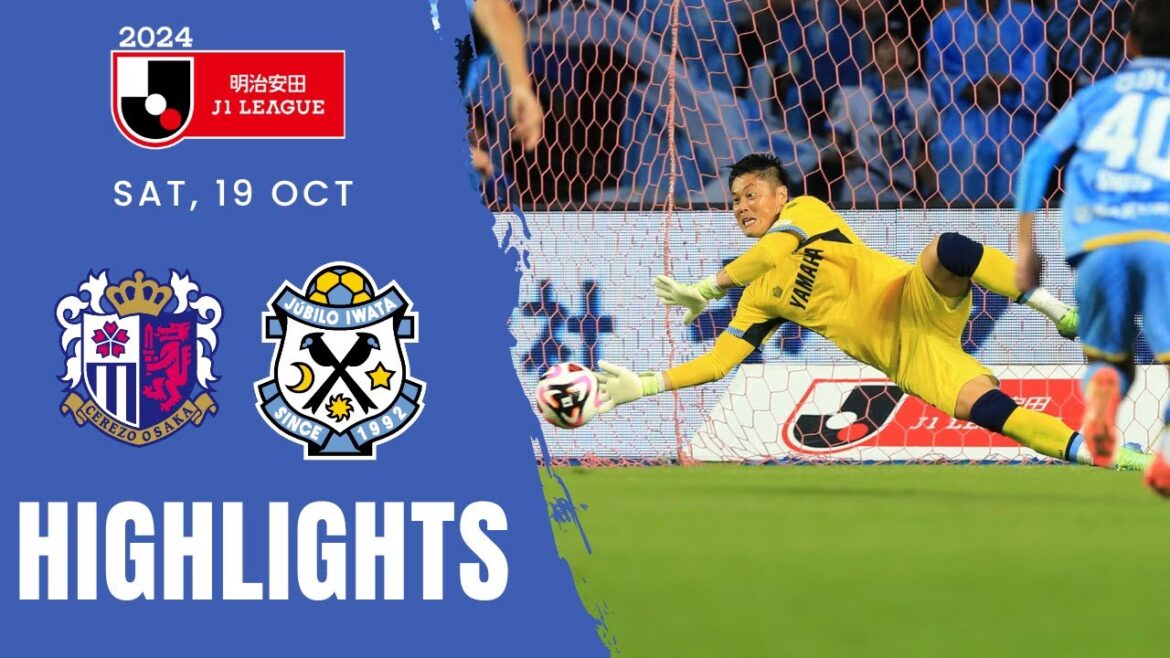 2024明治安田J1 第34節 vs. セレッソ大阪