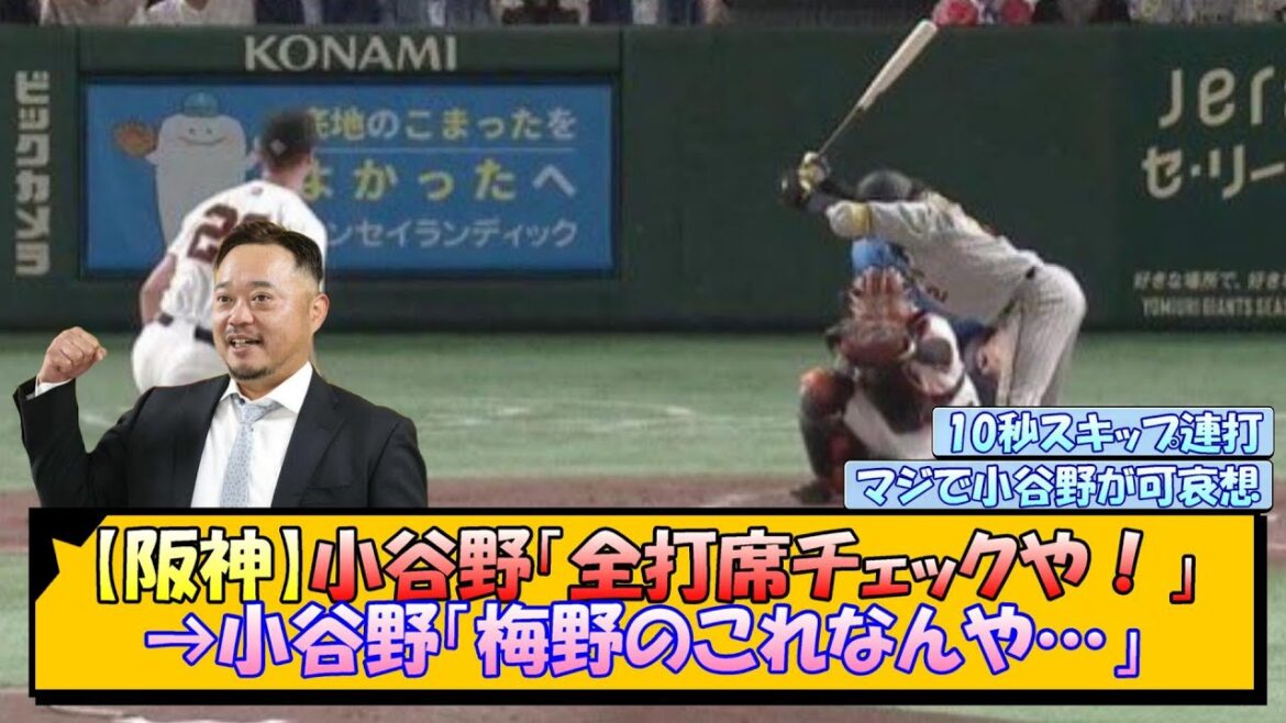 【阪神】小谷野「全打席チェックや！」→小谷野「梅野のこれなんや…」【なんJ/2ch/5ch/ネット 反応 まとめ/阪神タイガース/藤川球児/梅野隆太郎】