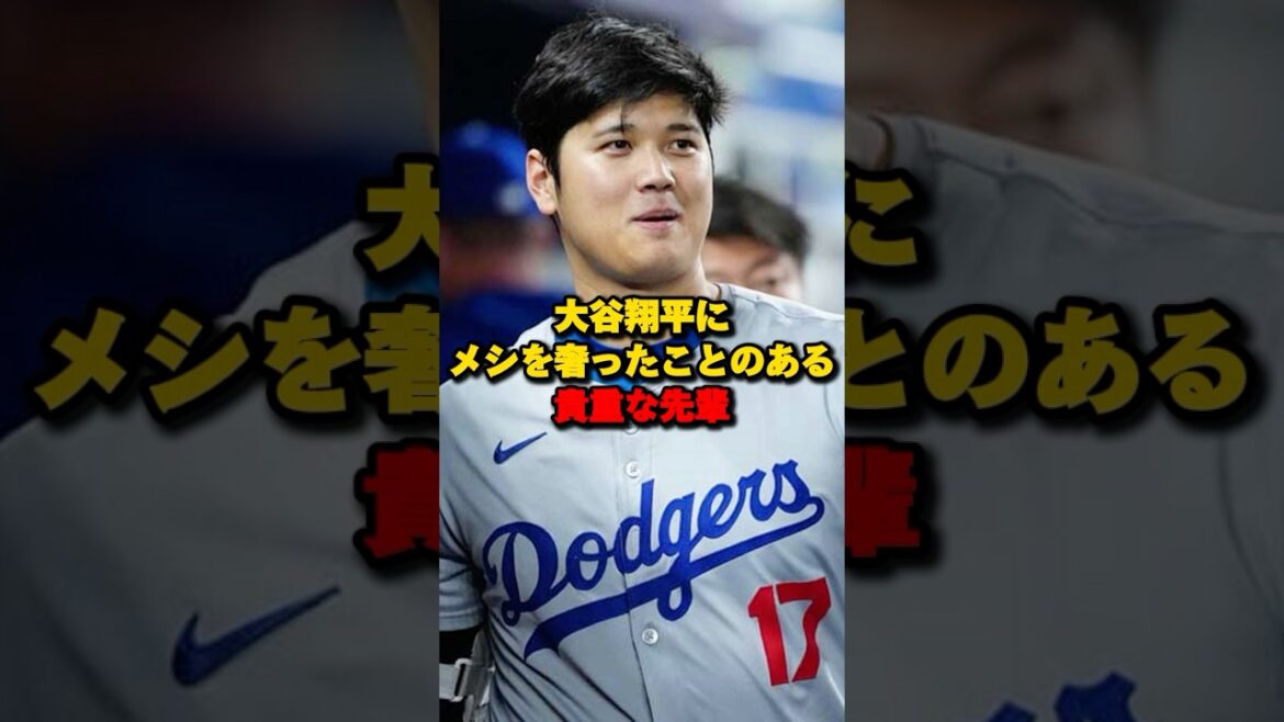 大谷翔平に飯を奢ったことのある貴重な先輩#大谷翔平