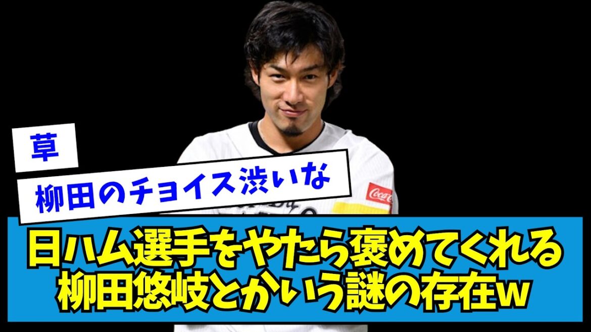【?】日ハム選手をやたら褒めてくれる柳田悠岐とかいう謎の存在wwwww【なんJ反応】 【?】日ハム選手をやたら褒めてくれる柳田悠岐とかいう謎の存在wwwww【なんJ反応】